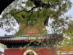 -北京艺术博物馆(万寿寺)