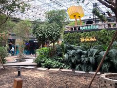 -凯德广场(学府店)