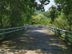 -西湖风景区-江洋畈生态公园