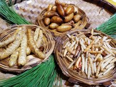 -昆虫窝子·特色云南菜(拓东路总店)