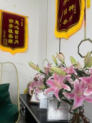 -北京丽星翼美医疗美容