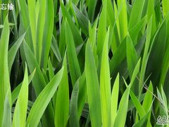 -哈尔滨文化公园