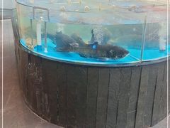 -耕渔小院·湖南鱼鲜(望城店)
