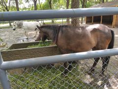 -长白岛森林公园