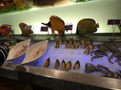水产区-圣廷苑酒店-世纪楼菲苑自助餐厅