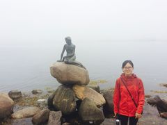 -美人鱼