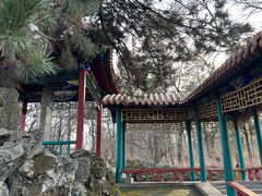 -高尔山公园
