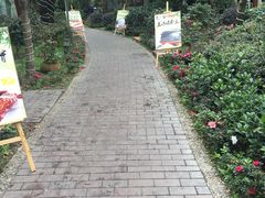 -西江印象酒楼
