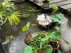-酒蜻蜓·庭院私房菜(天元东路店)