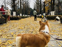 -百林公园-两江幸福广场