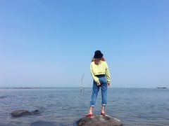 -硇洲岛旅游区
