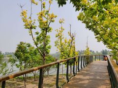 -东郊湿地公园