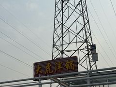 -大虎浑锅
