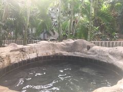 -龙达温泉生态城