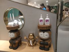 -飞行喵MR PILOT|猫舍·猫咖(静安大融城店)