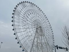 -南昌之星摩天轮