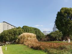 -九里河湿地公园
