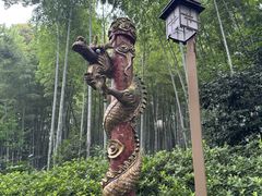 -杭州黄龙洞