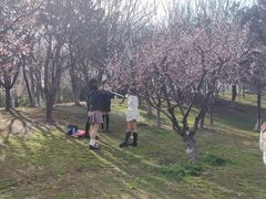 -堤角公园