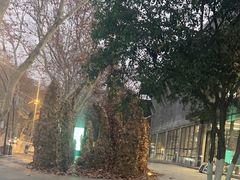 -中国美术学院-美术馆