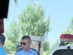 -老钟家烤羊排·敦伊阁清真餐厅胡羊焖饼