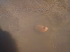 -南澳海滩