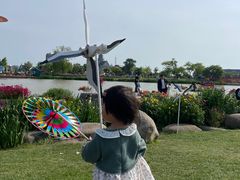 -荷兰花海