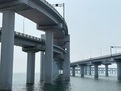 -星海湾跨海大桥