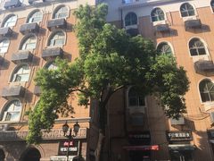 景点-黎黄陂路街头博物馆