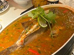 -太食獸泰式茶餐厅(IFS国金中心店)