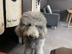 -沏点Trattoria意大利餐厅(新街口店)