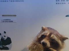 -重庆自然博物馆(新馆)