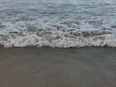 -拉威海鲜市场