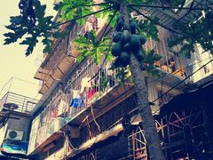 -鸿山公园