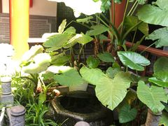 -湖南湘都生态农业园