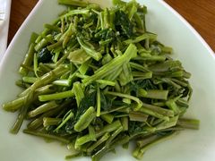 -前小桔亲子创意农场·草莓采摘·露营烧烤