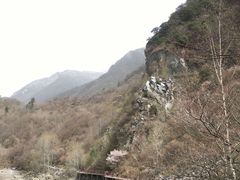 -叠溪松坪沟景区