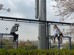 -同济大学（四平路校区）-图书馆