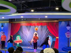 -芜湖新华联大白鲸海洋公园