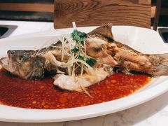 -T11生鲜超市(朝阳公园店)