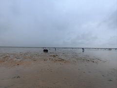 -刘家湾赶海园