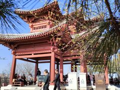 -绿堤公园