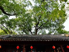 -上海醉白池公园