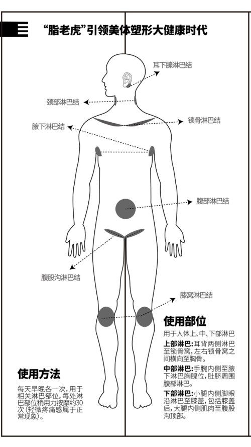 腹股沟淋巴排毒能健脾化湿,通经活络和改善