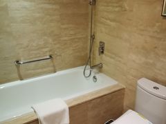 -扬州绿地铂骊酒店