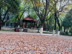 -山东大学(趵突泉校区)