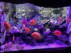 -多彩贵州城极地海洋世界