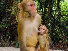 -重庆云阳龙缸景区