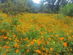 -国家植物园南园