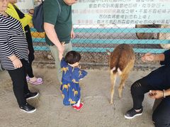 -鹿境梅花鹿生态园区